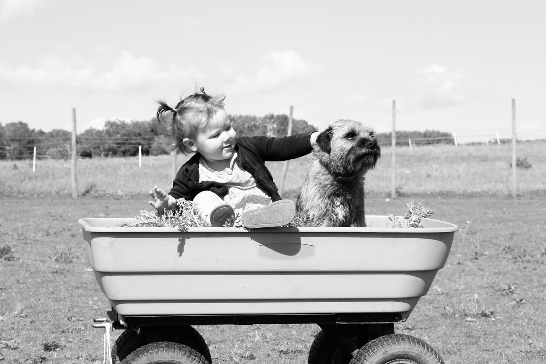 dog and child in a wagon looking out together